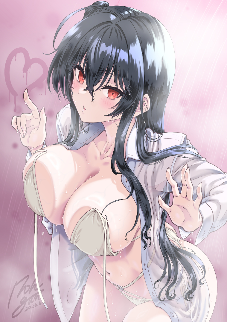 大鳳